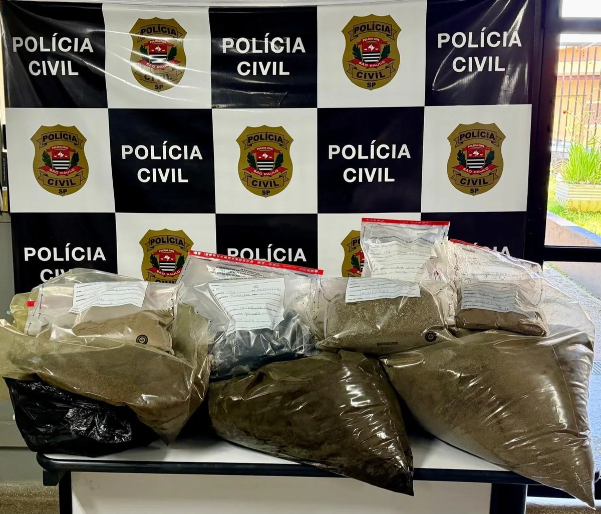 Polícia descobre fábrica de maconha a apenas 50 metros de uma escola; três são presos