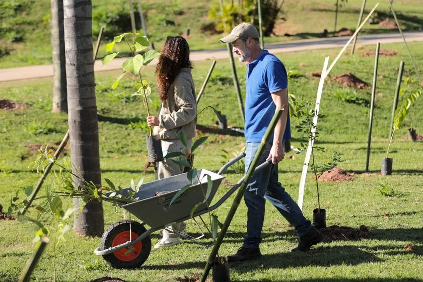 DAE Jundiaí mantém mais de 26 hectares em processo de restauração ambiental