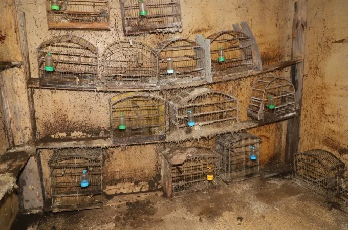 Louveira: Gestão Ambiental apreende 126 aves nativas em situação de maus-tratos
