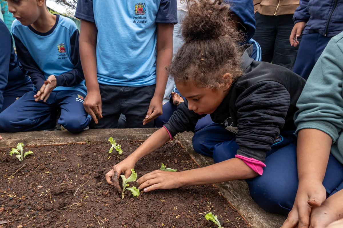 Programa Vale Verde leva atividades de horta para escolas municipais de Jundiaí