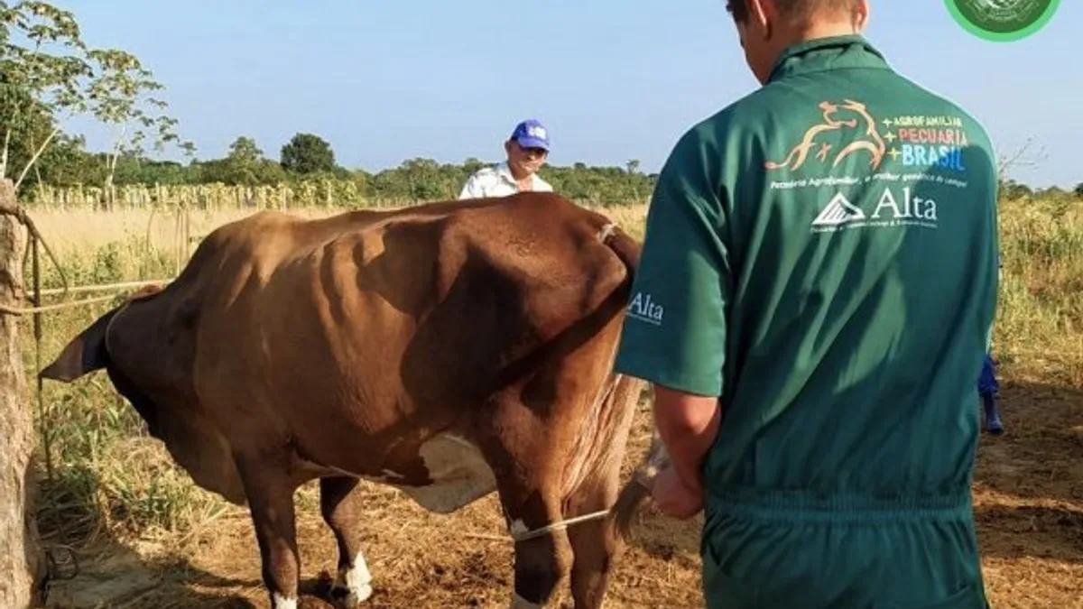 Cabreúva oferece inseminação artificial gratuita para produtores rurais