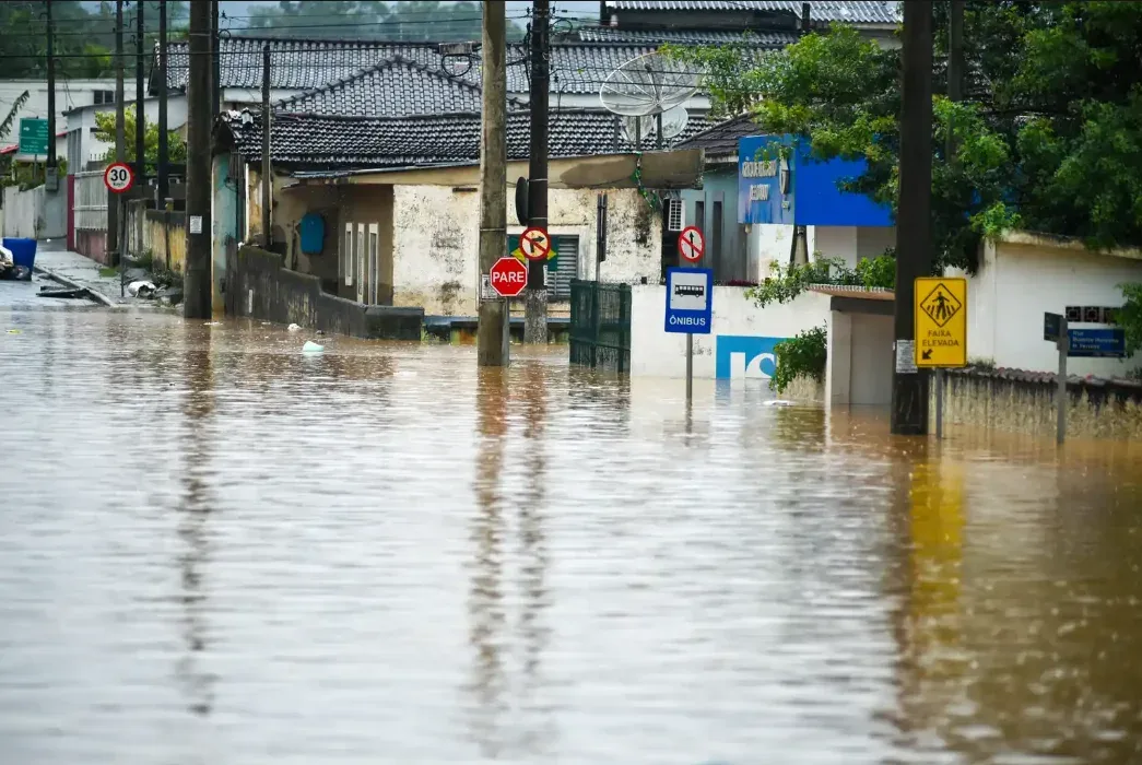 São Paulo registra 347 casos de leptospirose entre janeiro e agosto de 2026